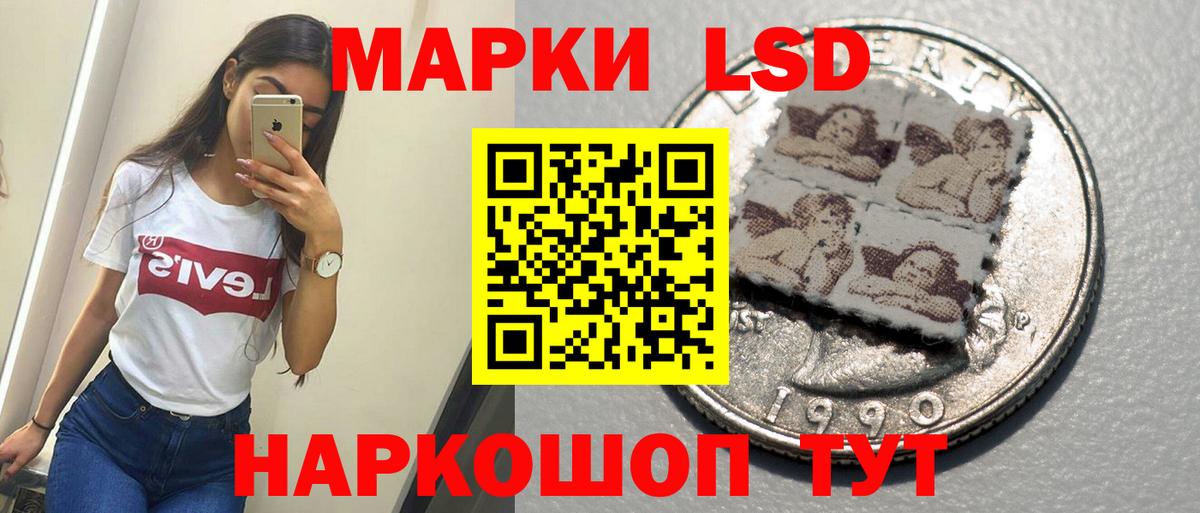 Новочебоксарск  ЛСД экстази  LSD-25 экстази кислота  Вход с VPN  ЛСД экстази ecstasy 
